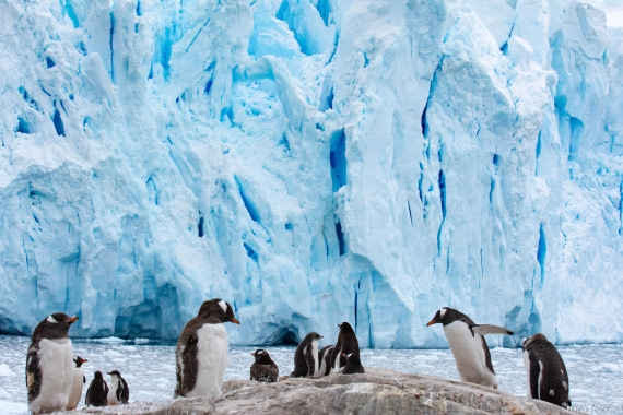 HDS28-25, Day 16, _DSC6722 © Hana Spickova - Oceanwide Expeditions.jpg