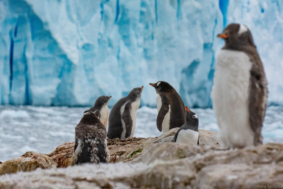 HDS28-25, Day 16, _DSC6735 © Hana Spickova - Oceanwide Expeditions.jpg
