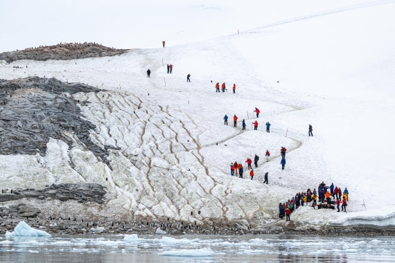 HDS28-25, Day 16, Ross Neko-2 © Ross Wheeler - Oceanwide Expeditions.jpg