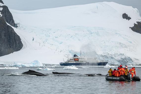 HDS28-25, Day 16, Ross Paradise Bay © Ross Wheeler - Oceanwide Expeditions.jpg