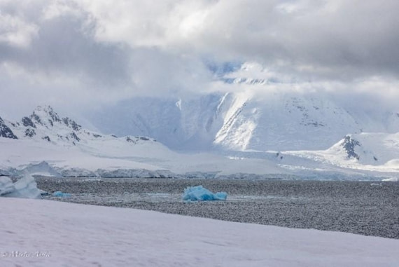 PLA29-25, Day 4, Picture10 © Martin Anstee - Oceanwide Expeditions.jpg