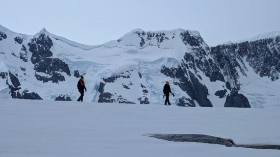 PLA29-25, Day 5, Picture14 © Unknown photographer - Oceanwide Expeditions.jpg