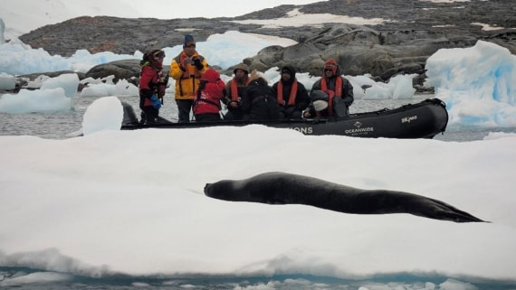 PLA29-25, Day 5, Picture16 © Unknown photographer - Oceanwide Expeditions.jpg