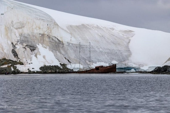 PLA29-25, Day 9, Picture28 © Martin Anstee - Oceanwide Expeditions.jpg