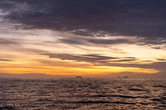 PLA29-25, Day 9, Picture33 © Martin Anstee - Oceanwide Expeditions.jpg