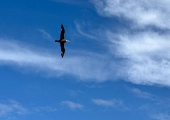 PLA29-25, Day 12, Picture40 © Unknown photographer - Oceanwide Expeditions.jpg