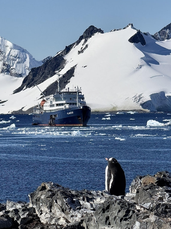 Yay they’re back!!