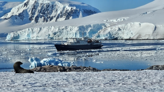 PLA30-25, Day 7, 20250303_162200 © Unknown photographer - Oceanwide Expeditions.jpg
