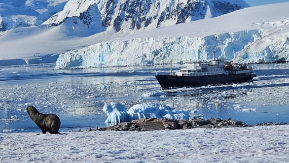 PLA30-25, Day 7, 20250303_162206 © Unknown photographer - Oceanwide Expeditions.jpg