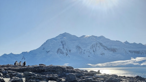 PLA30-25, Day 7, 20250303_163631 © Unknown photographer - Oceanwide Expeditions.jpg