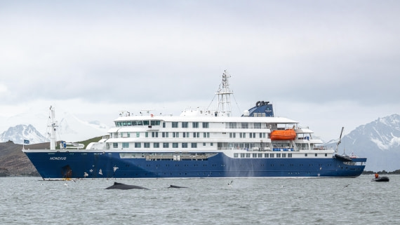 Hannah Point-2 © Ross Wheeler - Oceanwide Expeditions.jpg