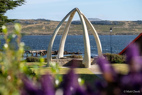 HDS29-25, Day 4, DSC02687 © Matt Cheok - Oceanwide Expeditions.jpg