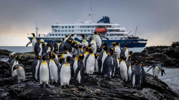 HDS29-25, Day 8, RLO_2157 © Alexander Romanovskiy - Oceanwide Expeditions.jpg