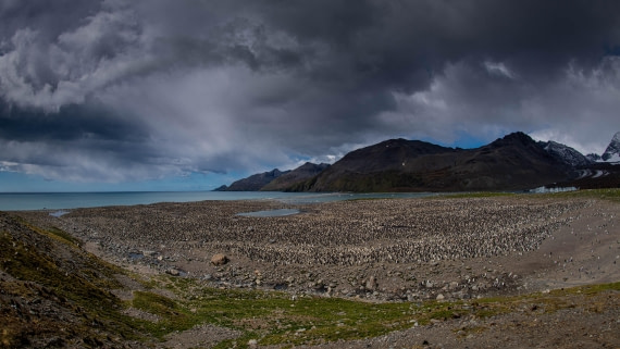 HDS29-25, Day 8, RLO_2235 © Alexander Romanovskiy - Oceanwide Expeditions.jpg