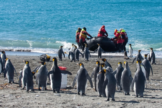 HDS29-25, Day 10, _DSC6790 © Hana Spickova - Oceanwide Expeditions.jpg