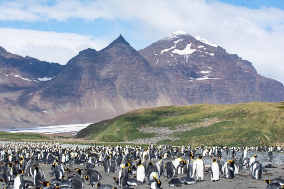 HDS29-25, Day 10, _DSC6797 © Hana Spickova - Oceanwide Expeditions.jpg