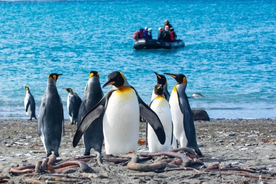 HDS29-25, Day 10, _DSC6821 © Hana Spickova - Oceanwide Expeditions.jpg