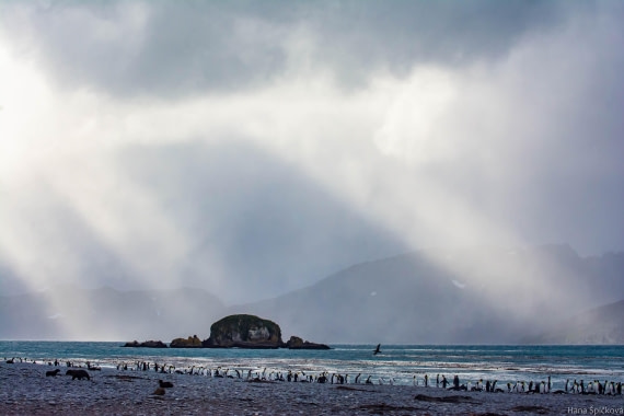 HDS29-25, Day 10, _DSC6877 © Hana Spickova - Oceanwide Expeditions.jpg