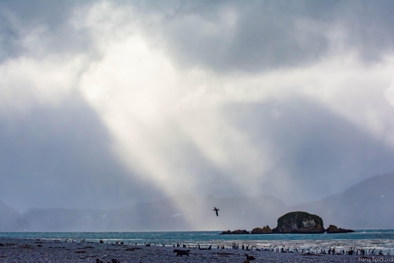 HDS29-25, Day 10, _DSC6878 © Hana Spickova - Oceanwide Expeditions.jpg