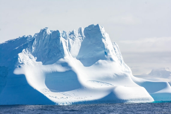 HDS29-25, Day 12, _DSC6973 © Hana Spickova - Oceanwide Expeditions.jpg