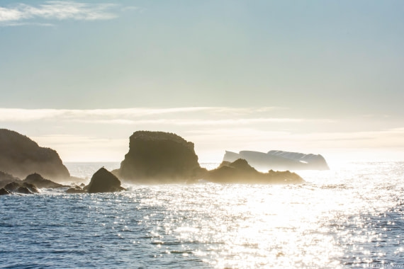 HDS29-25, Day 13, _DSC7016 © Hana Spickova - Oceanwide Expeditions.jpg