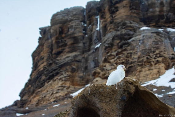 HDS29-25, Day 14, _DSC7048 © Hana Spickova - Oceanwide Expeditions.jpg