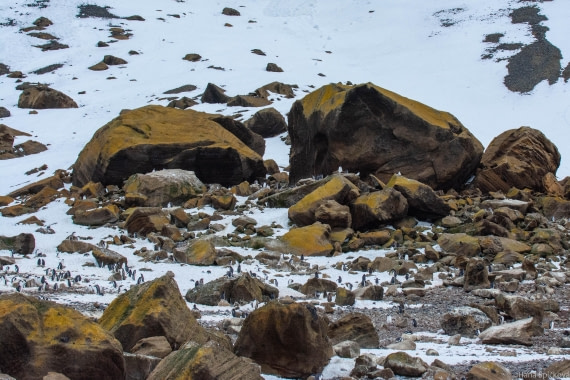 HDS29-25, Day 14, _DSC7085 © Hana Spickova - Oceanwide Expeditions.jpg