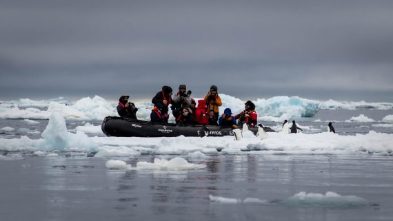 HDS29-25, Day 14, RLO_2316 © Alexander Romanovskiy - Oceanwide Expeditions.jpg