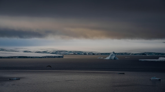 HDS29-25, Day 14, RLO_2355 © Alexander Romanovskiy - Oceanwide Expeditions.jpg