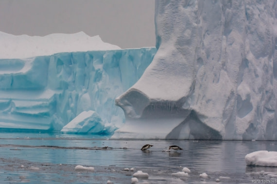 HDS29-25, Day 18, _DSC7187 © Hana Spickova - Oceanwide Expeditions.jpg