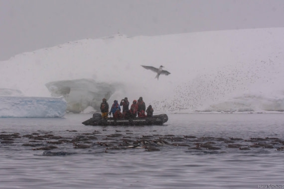 HDS29-25, Day 18, _DSC7206 © Hana Spickova - Oceanwide Expeditions.jpg