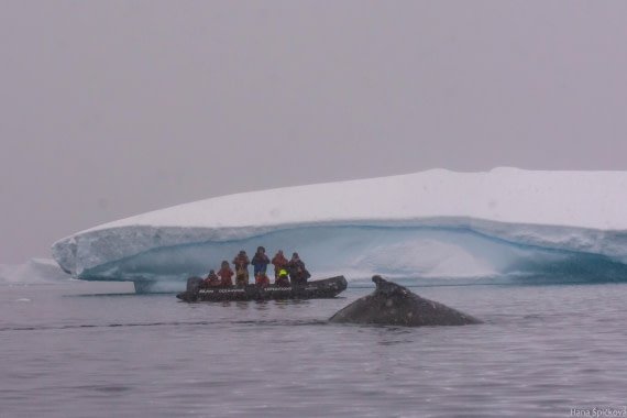 HDS29-25, Day 18, _DSC7211 © Hana Spickova - Oceanwide Expeditions.jpg