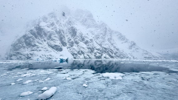 HDS29-25, Day 18, lemaire © Meike Sjoer - Oceanwide Expeditions.jpg