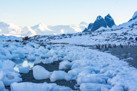 HDS29-25, Day 20, _DSC7312 © Hana Spickova - Oceanwide Expeditions.jpg