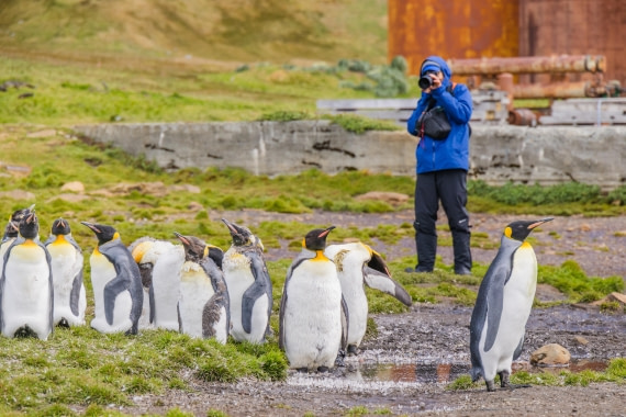 apeacock_HDS28-25_Antarctica_SG-FL_250208-0693.jpg