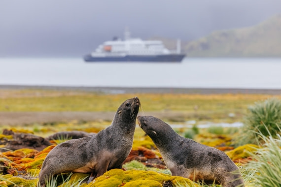 apeacock_HDS28-25_Antarctica_SG-FL_250207-2645.jpg