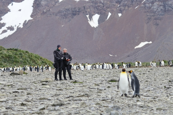 OTL30-25, Day 5, guest and king © Unknown photographer - Oceanwide Expeditions.JPG