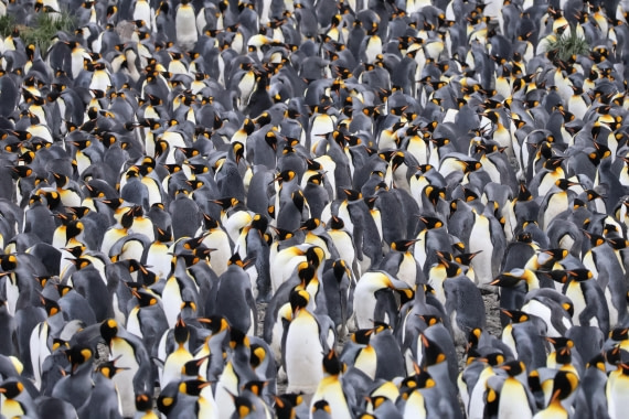 OTL30-25, Day 5, IMG_0538 © Unknown photographer - Oceanwide Expeditions.JPG