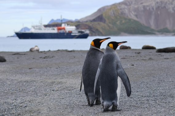 OTL30-25, Day 5, king ortelius © Unknown photographer - Oceanwide Expeditions.JPG