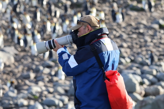 OTL30-25, Day 6, King1 (8) © Unknown photographer - Oceanwide Expeditions.JPG