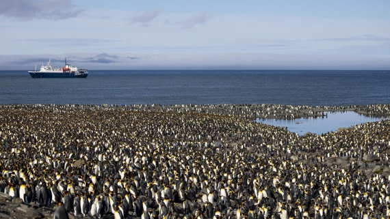 OTL30-25, Day 6, St Andrews with ship © Sara Jenner - Oceanwide Expeditions.jpg