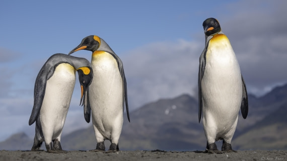 OTL30-25, Day 6, Three kings 1 © Sara Jenner - Oceanwide Expeditions.jpg