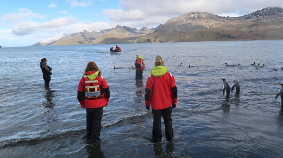 OTL30-25, Day 7, IMG_6654 © Unknown photographer - Oceanwide Expeditions.JPG