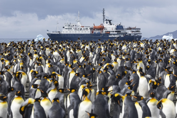 OTL30-25, Day 7, Ortelius and penguins © Sara Jenner - Oceanwide Expeditions.jpg