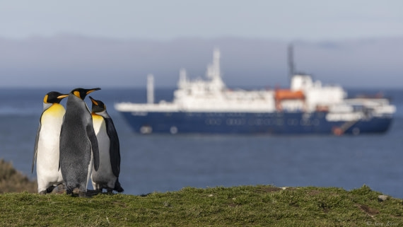 OTL30-25, Day 7, Three kings and ortelius © Sara Jenner - Oceanwide Expeditions.jpg