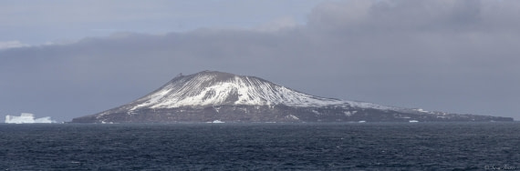 OTL30-25, Day 9, Bellinghausen Island © Sara Jenner - Oceanwide Expeditions.jpg