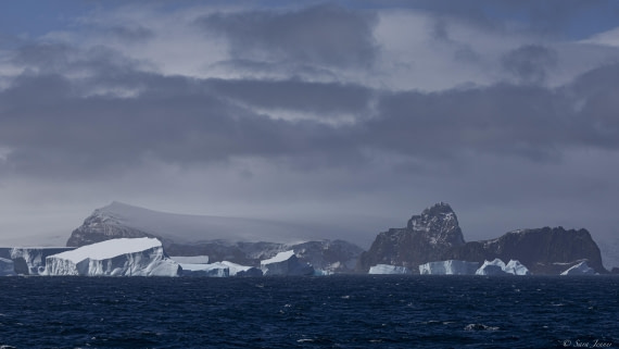OTL30-25, Day 9, Bristol Island © Sara Jenner - Oceanwide Expeditions.jpg
