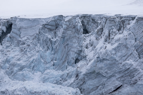OTL30-25, Day 9, Cook Island 1 © Sara Jenner - Oceanwide Expeditions.jpg