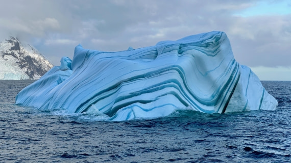 OTL30-25, Day 9, IMG_9479 © Unknown photographer - Oceanwide Expeditions.jpeg