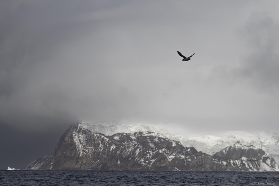 OTL30-25, Day 9, Thule Island © Sara Jenner - Oceanwide Expeditions.jpg